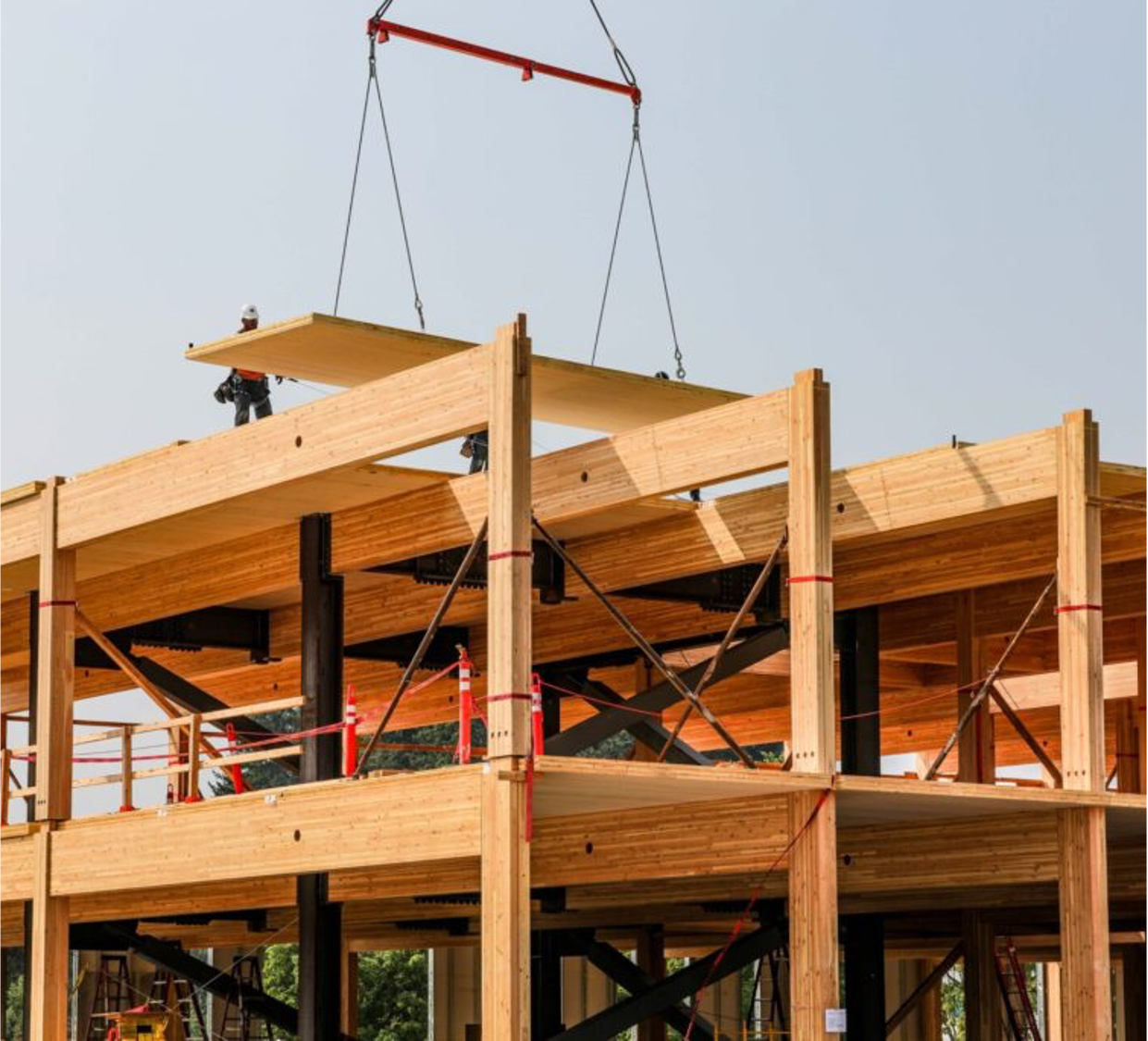 QB mass timber multi story